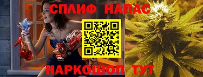сатива Будённовск