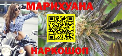 сатива Будённовск