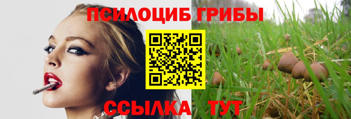 Галлюциногенные грибы Magic Shrooms Саров